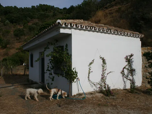 Finca rústica en Ma-8301 s/n - Foto 26