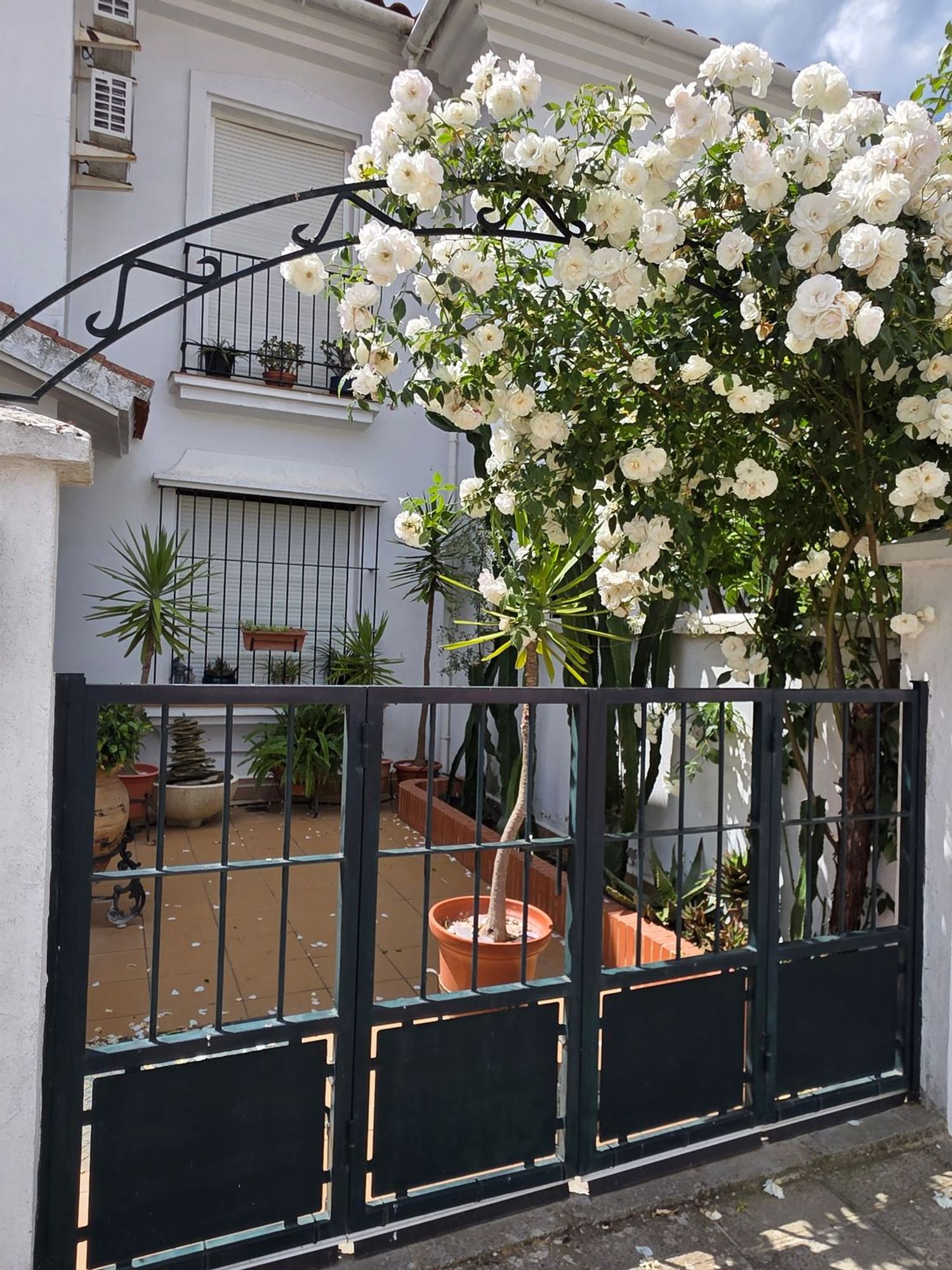 Chalet adosado en Calle Anís Cuatro Gatos, 3 - Foto 3