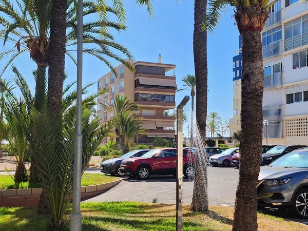 Piso en Avenida de la Costa Blanca, 146, Playa de San Juan - Foto 28