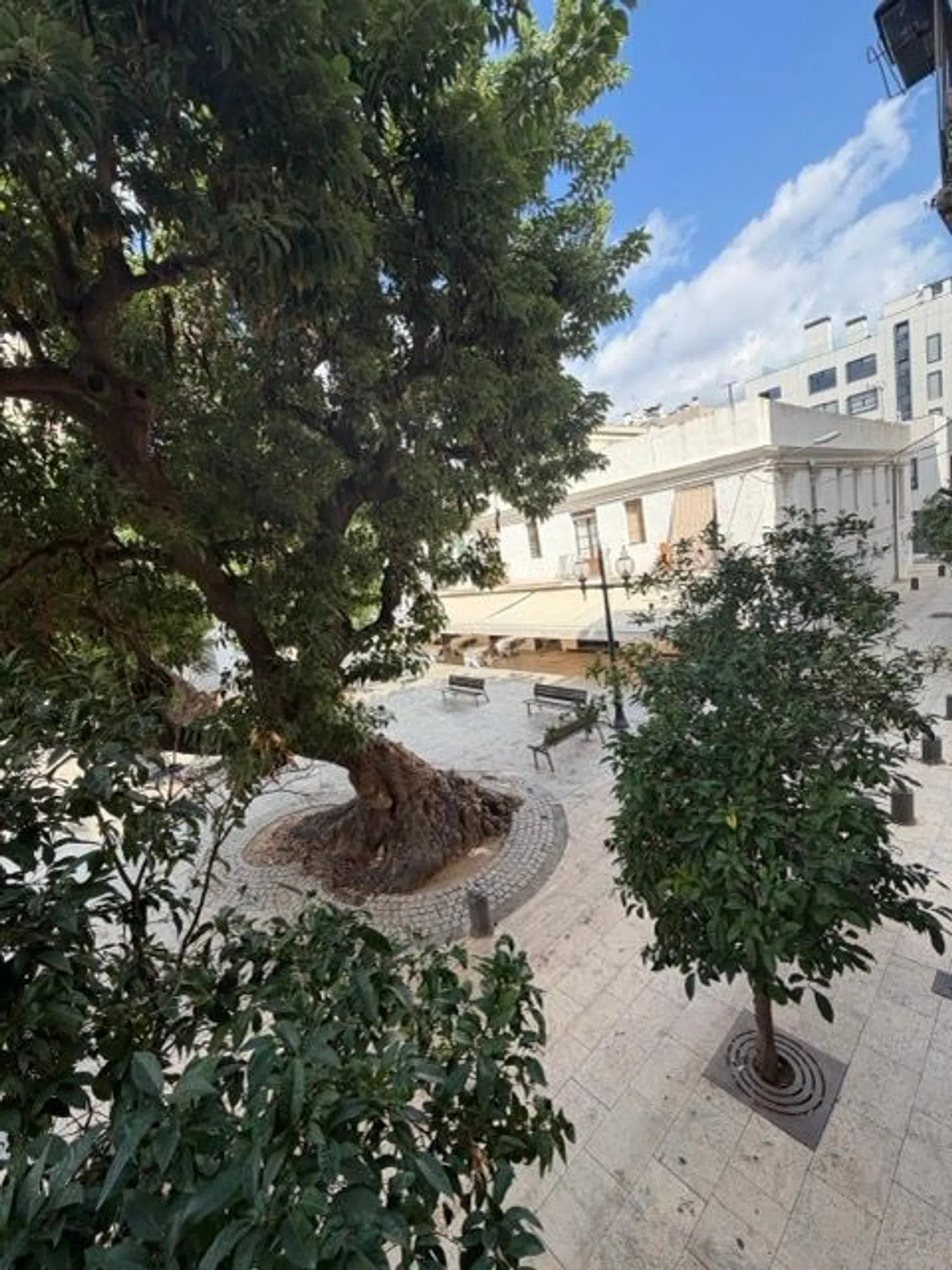Piso en plaza de Prim, 1 - Foto 15