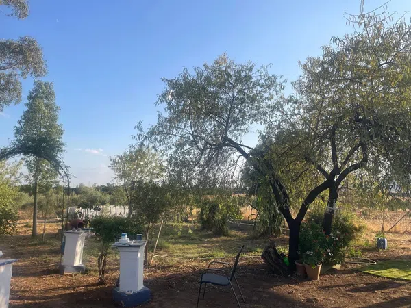 Cortijo en Ex-107 s/n - Foto 28