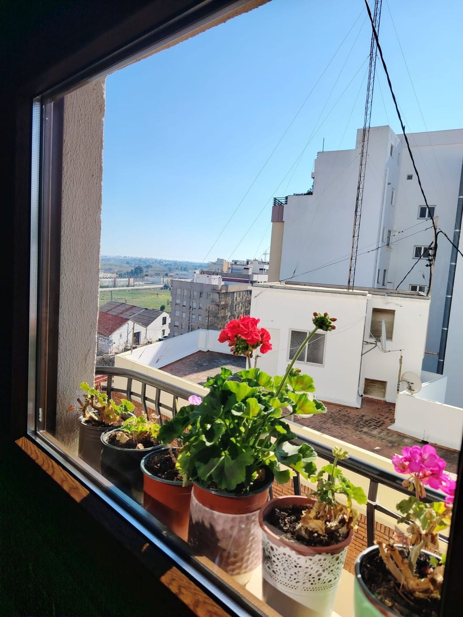 Piso en Paseo Juan Carlos I, 6, Oliva pueblo, Oliva pueblo - Foto 31