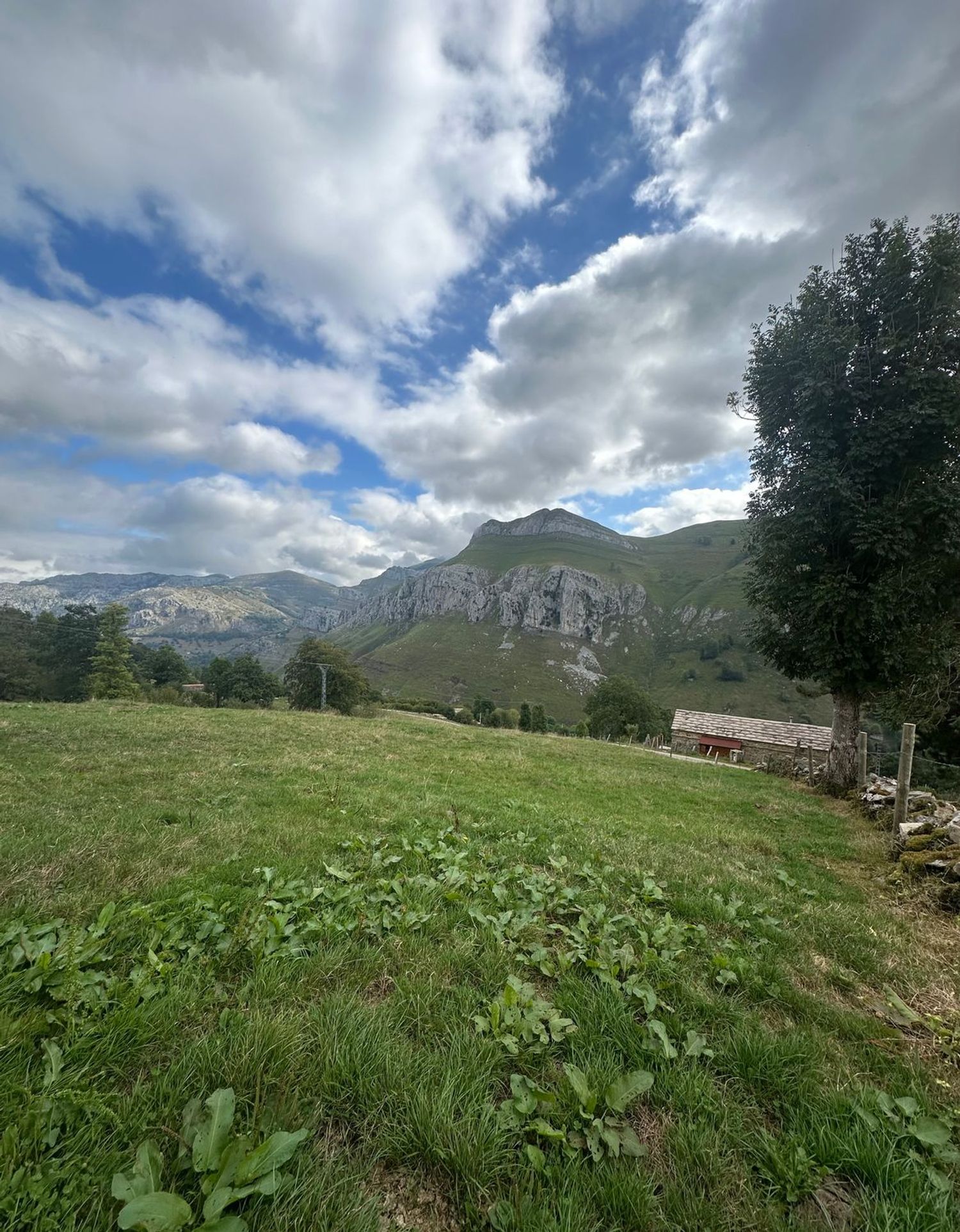 Casa de pueblo en Bo Concha, 613 - Foto 5