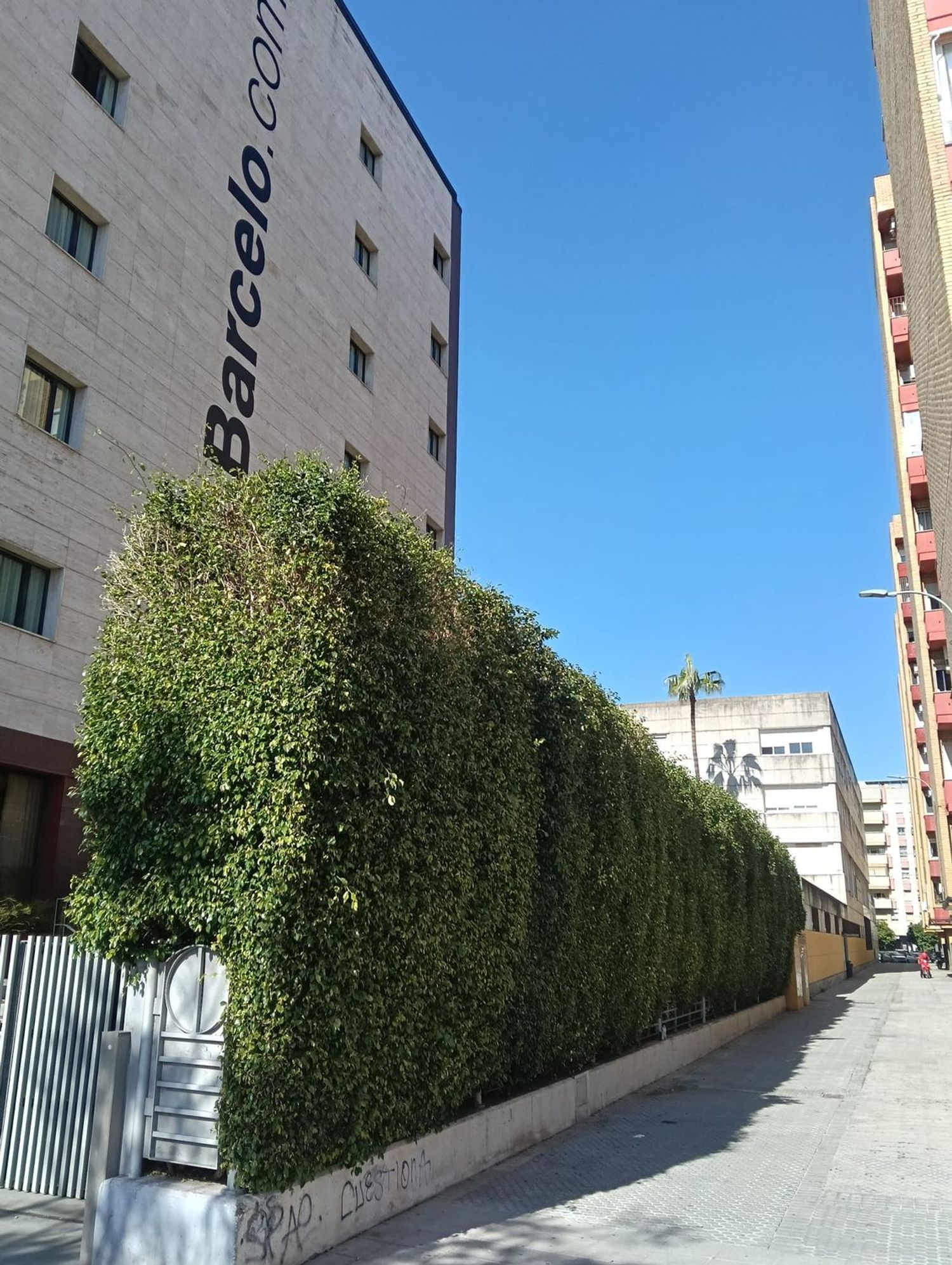 Piso en Barrio Buhaira - Huerta del Rey - Foto 27