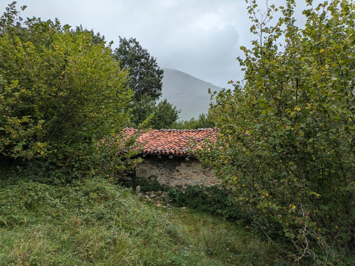 Casa de pueblo en Ca-281 s/n - Foto 9