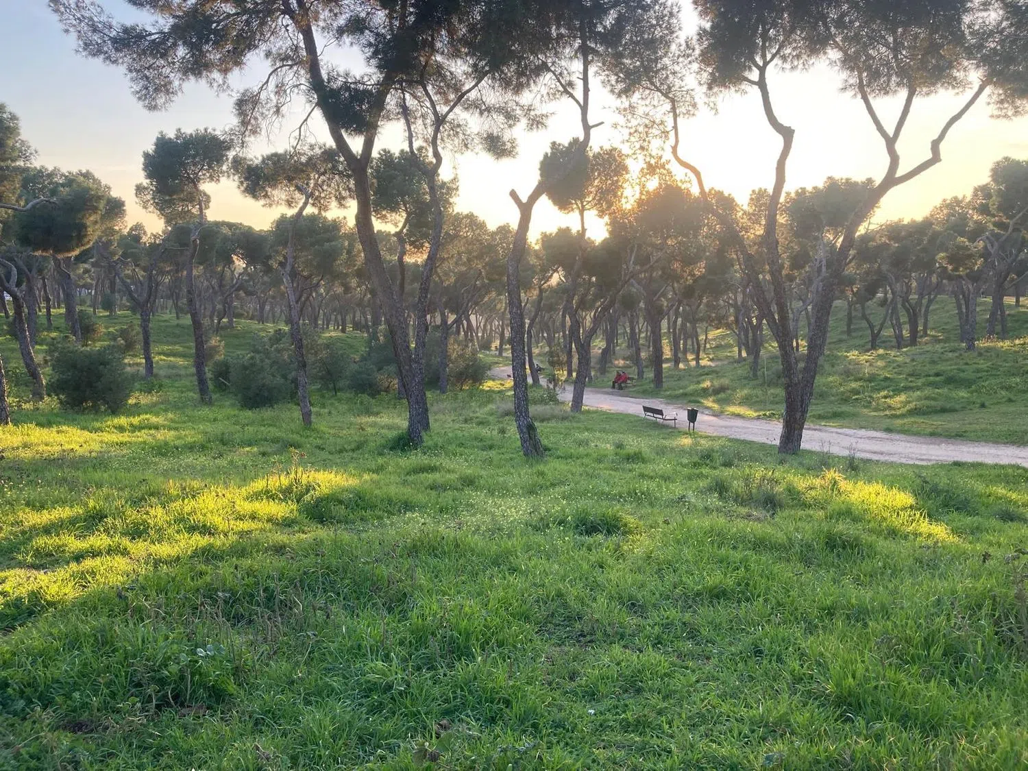 Piso en calle de Tremp, 7 - Foto 28