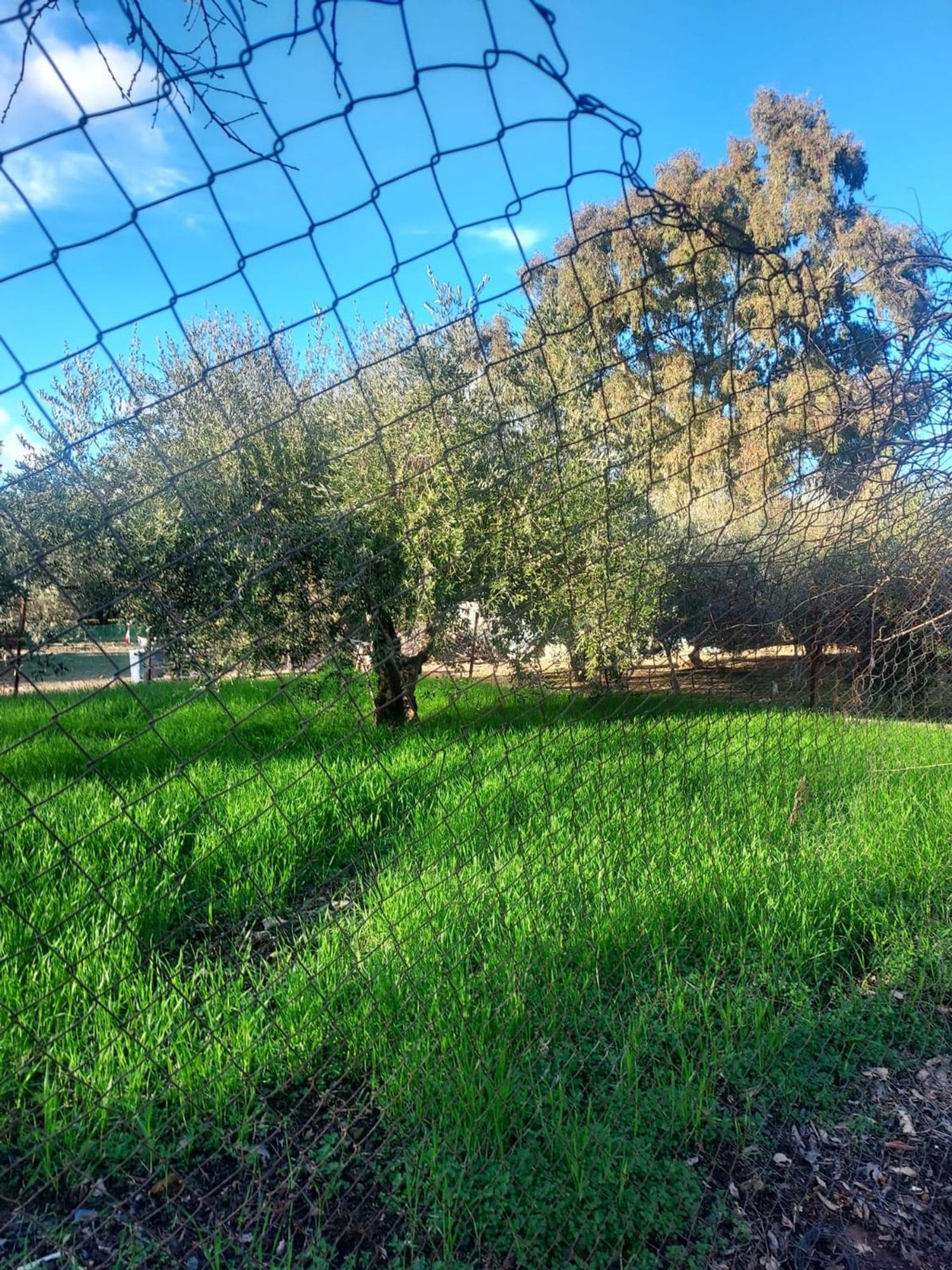 Finca rústica en Cañada Real Soriana, 12 - Foto 8