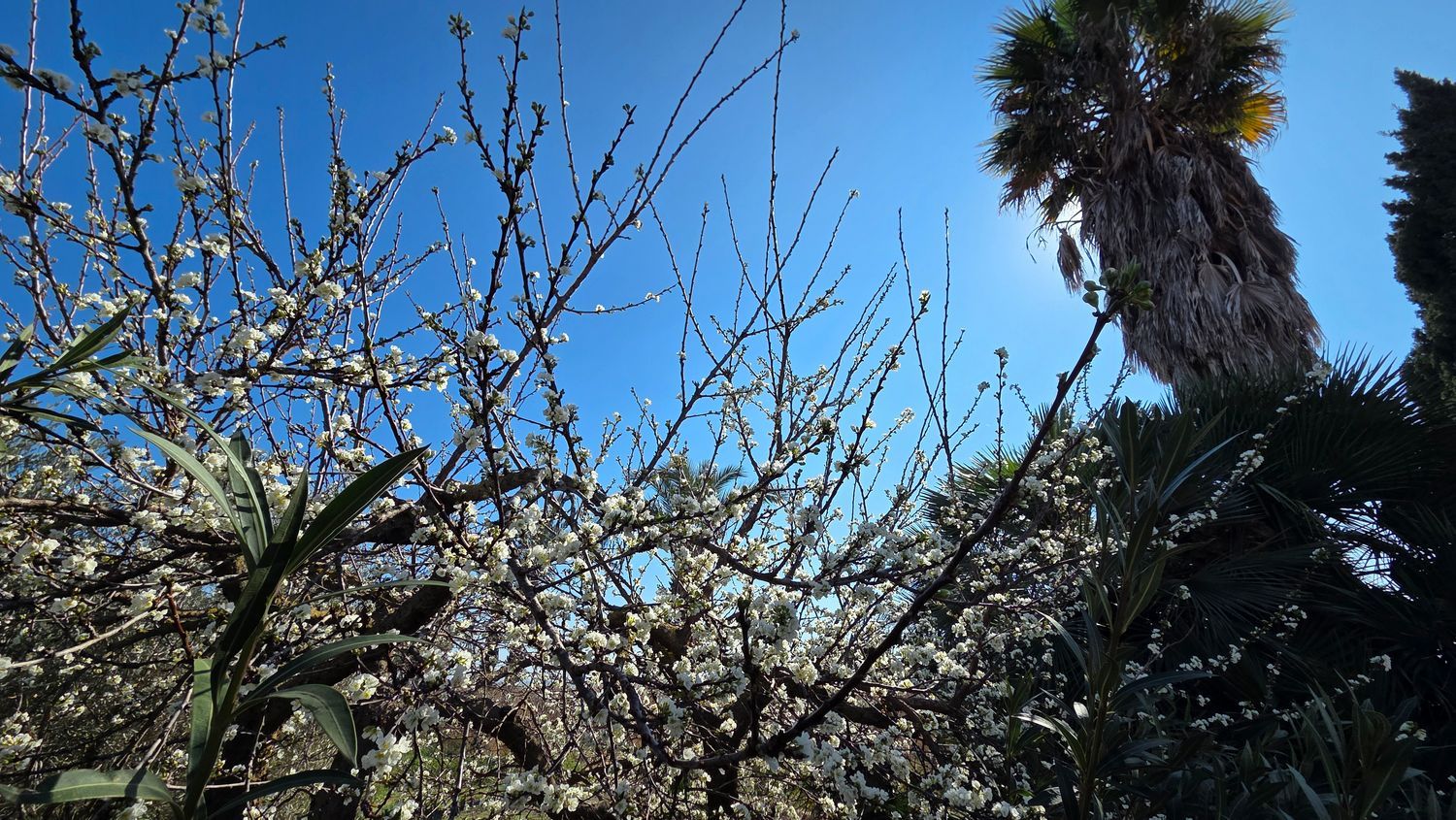 Casa independiente en camino de les Cases Juntes, 100 - Foto 11