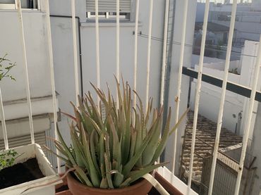Piso en  Pasaje Mallol 10 ac - Foto 8