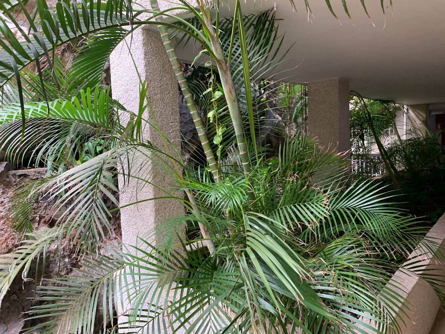 Piso en Avenida Marítima, 25 - Foto 40