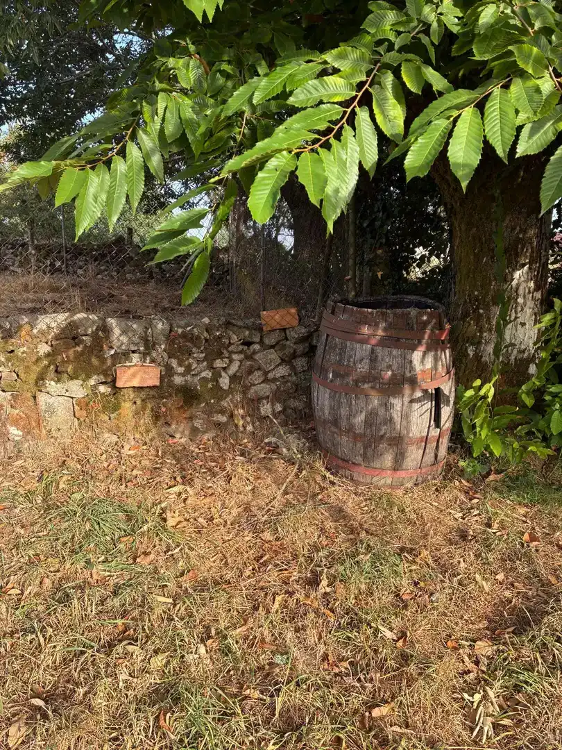 Chalet en  Lugar Edrada,A 1 - Foto 6