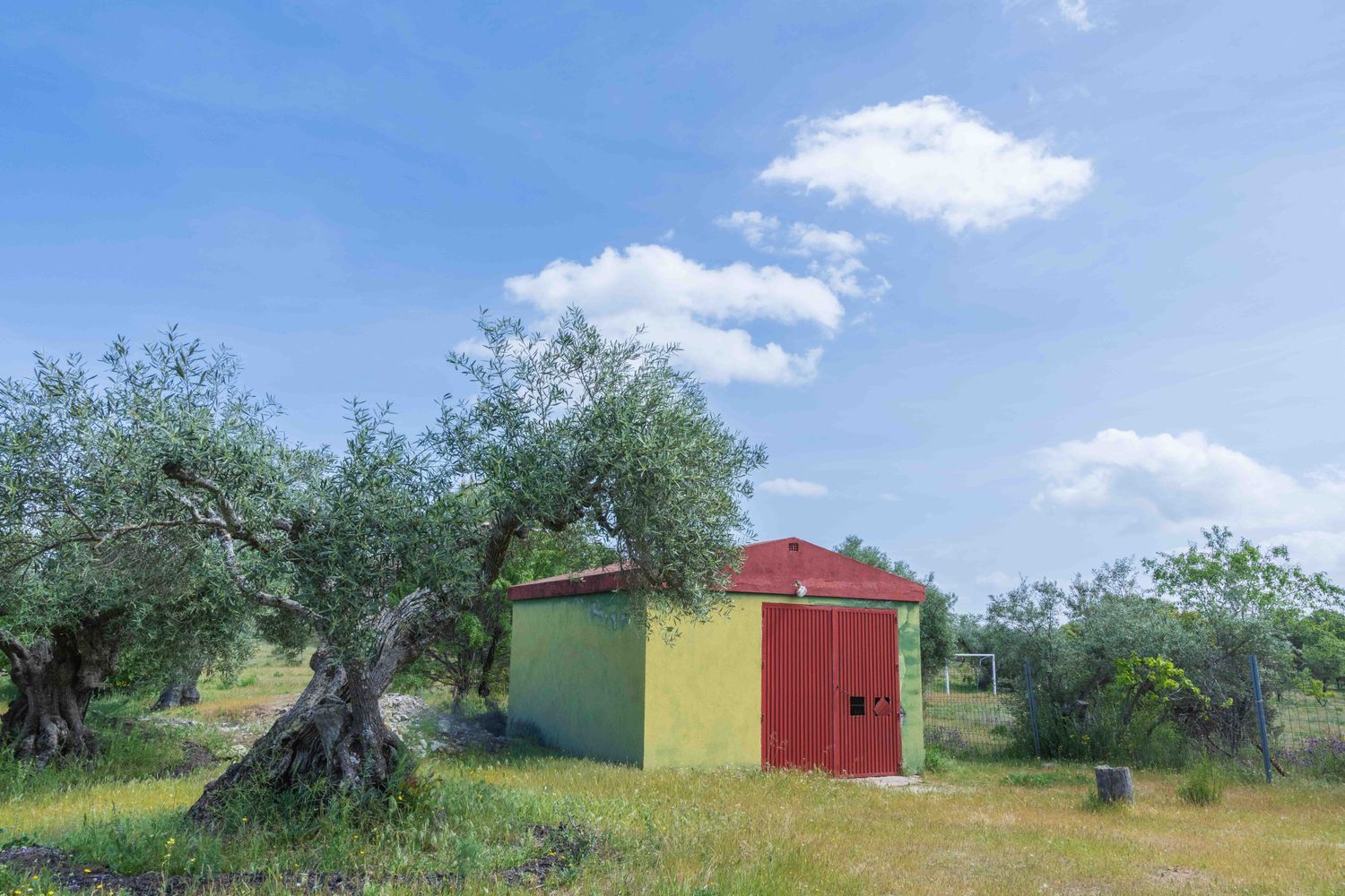 Casa rural en Camino de los Molinos s/n - Foto 36