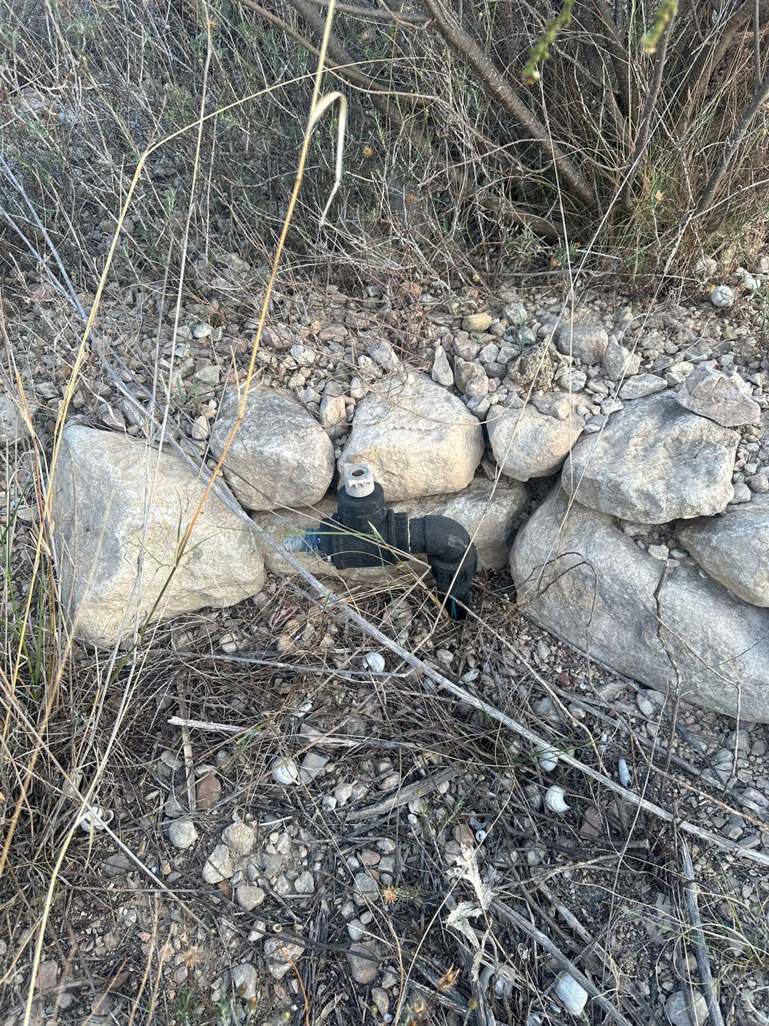Finca rústica en Diseminado Paraje Salado Bajo, 14 - Foto 32