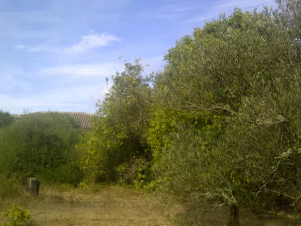 Casa independiente en camino de Melilla s/n - Foto 19