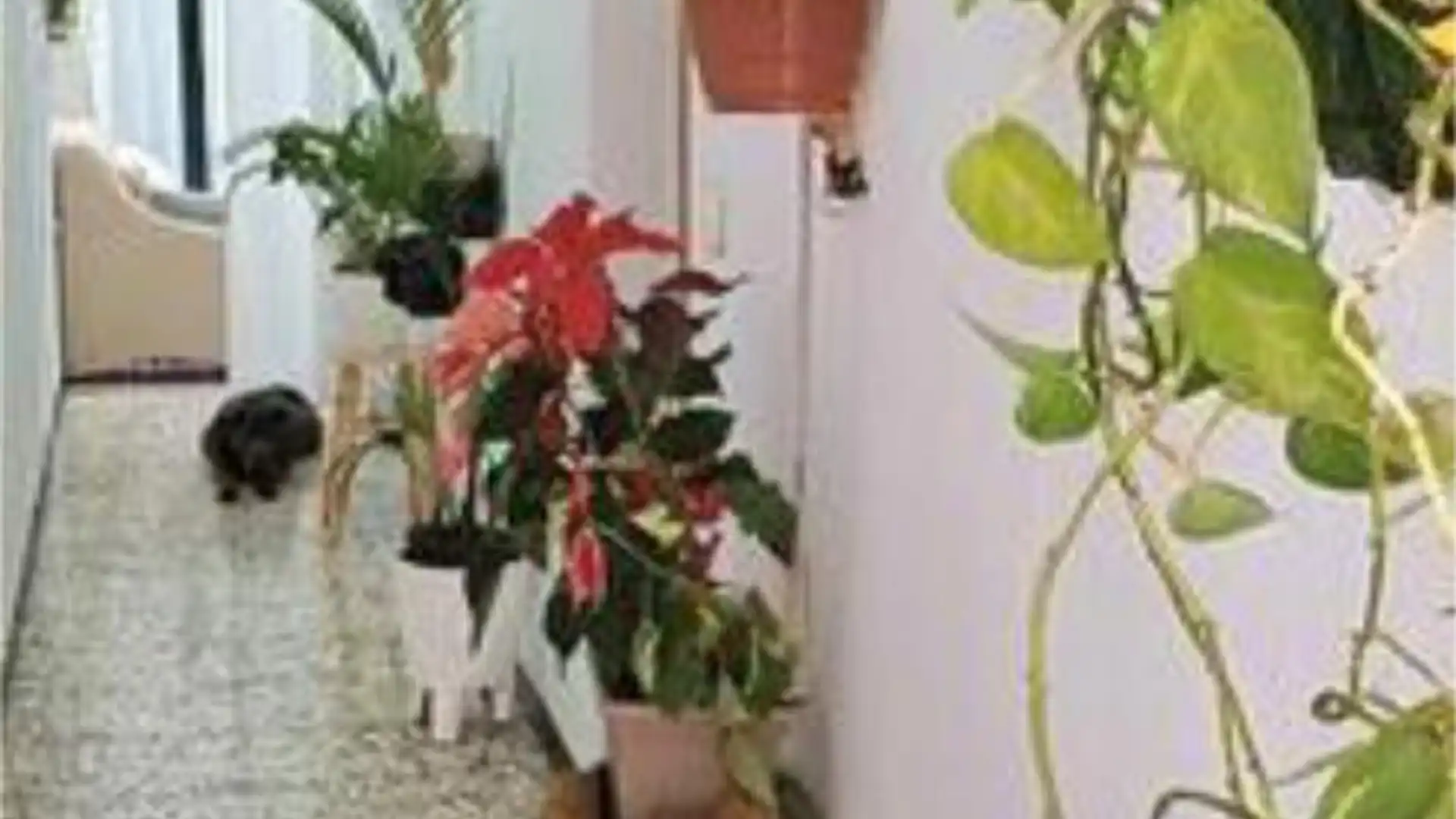 Piso en El Sobradillo - Foto 1