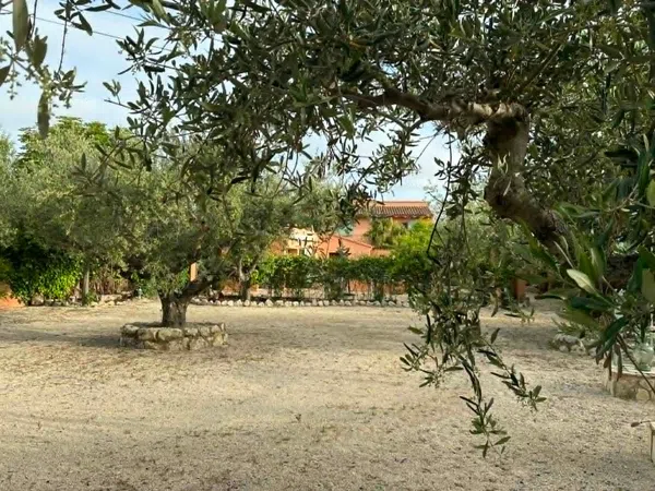 Casa o chalet independiente en Camino Teulars d' Ubeda, 120, Llombo, Llombo - Foto 3
