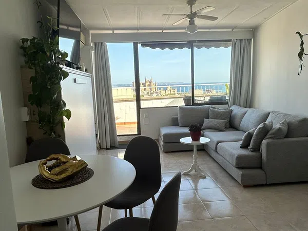 Estudio en Paseo de Mallorca, 9, Camp d'En Serralta , Palma de Mallorca - Foto 1