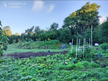 Finca rústica en  Pista La Cancela 97 - Foto 8