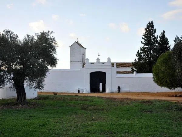 Cortijo en Cortijo en Carretera Mairena del Alcor, Brenes, 4 Km - Foto 4