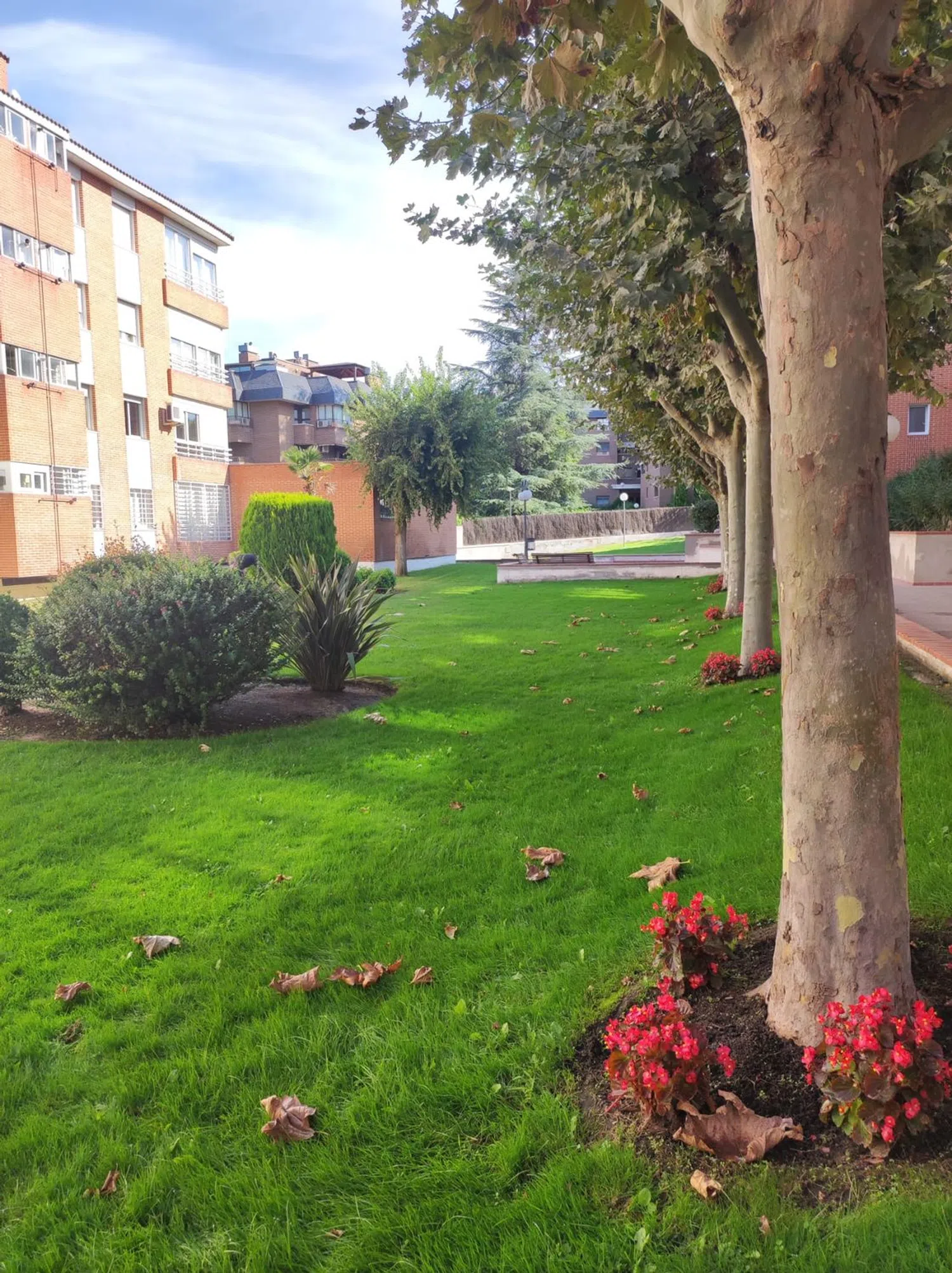 Piso en calle de Francia, 8 - Foto 17