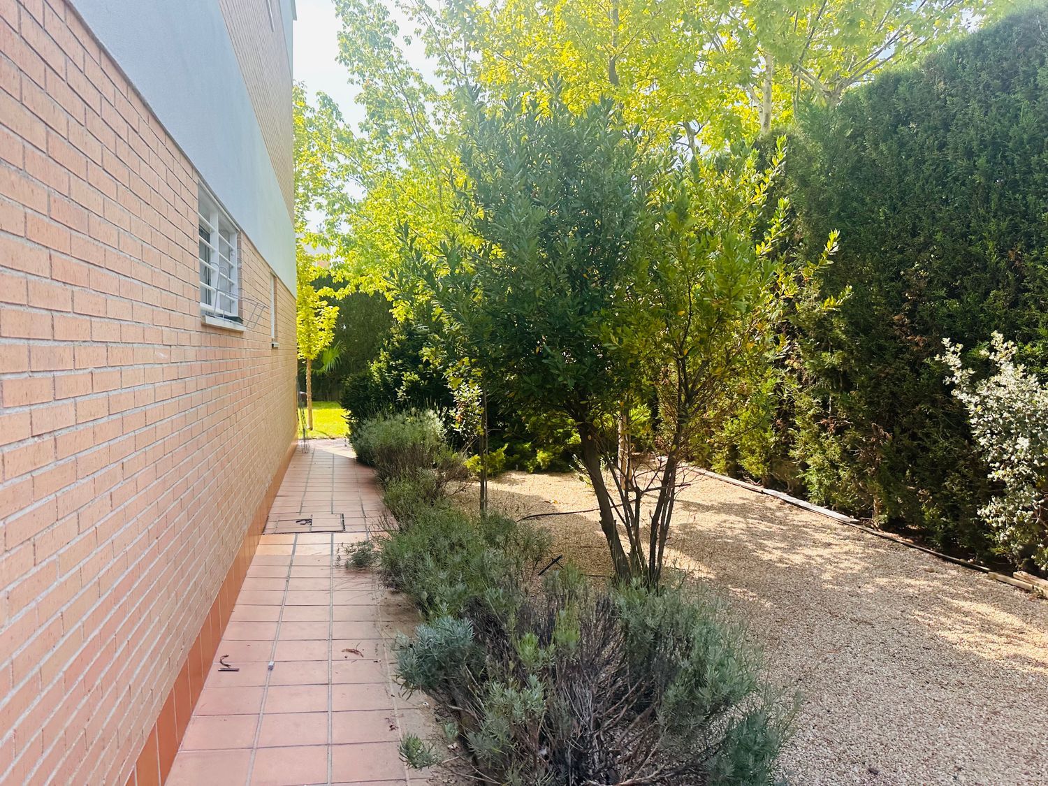 Piso en Juniperos, El Cantizal - Foto 61