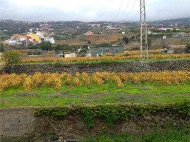 Ático en La Cruz Santa , los Realejos - Foto 9