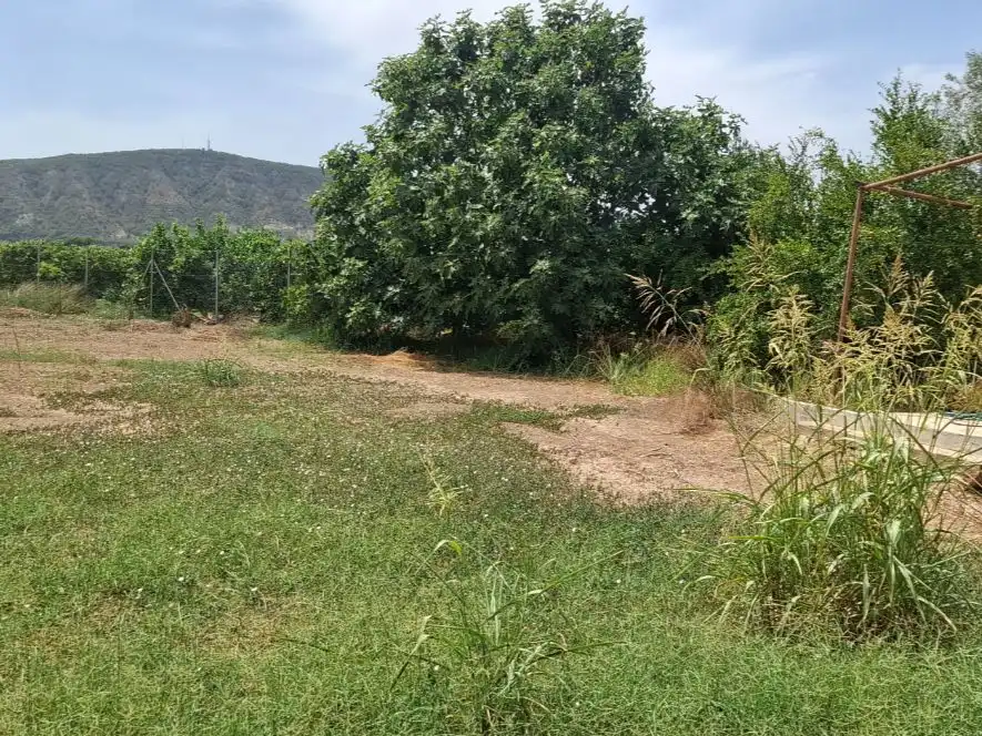 Finca rústica en  Camino Fabregat 10 - Foto 4