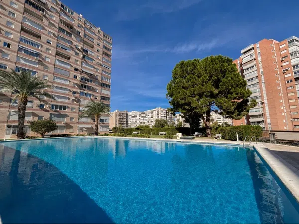 Piso en Avenida de Cataluña, 14, Playa de San Juan - Foto 18