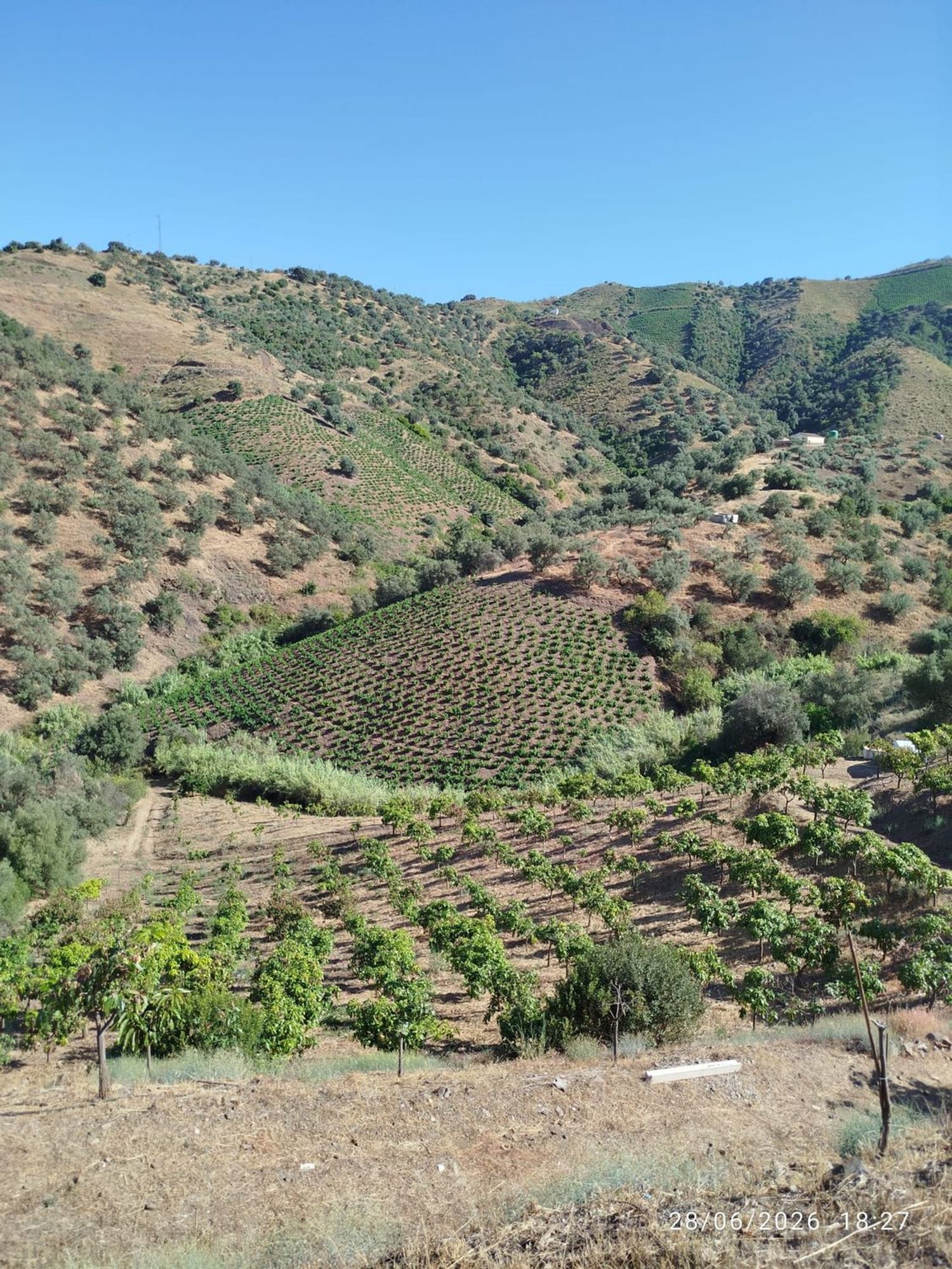 Casa rural en Camino de las Lomas de Villanueva s/n - Foto 26