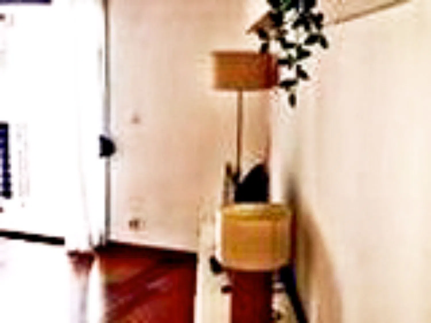 Piso - Foto 2
