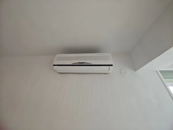 Alquiler de piso en Calle maestro luis torregrosa, 3 - Foto 16