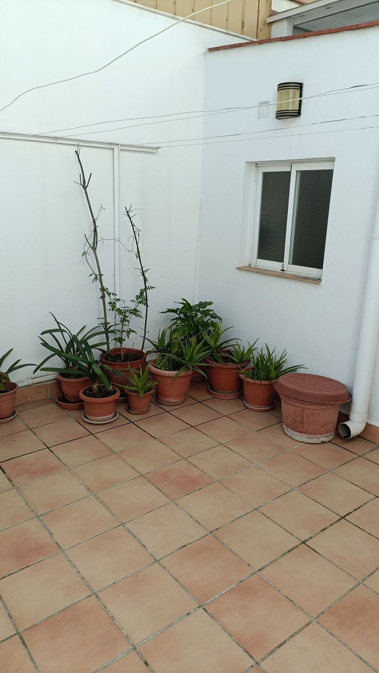 Piso en Passatge de la Mare de Déu de la Balma, 26 - Foto 22