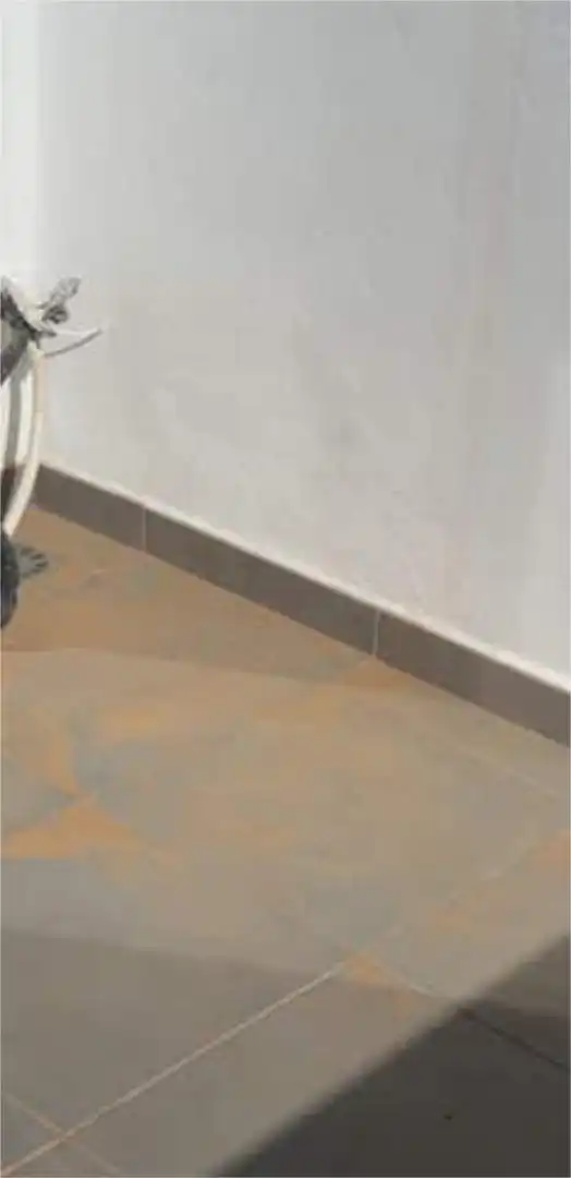 Piso en Torreblanca - Foto 5