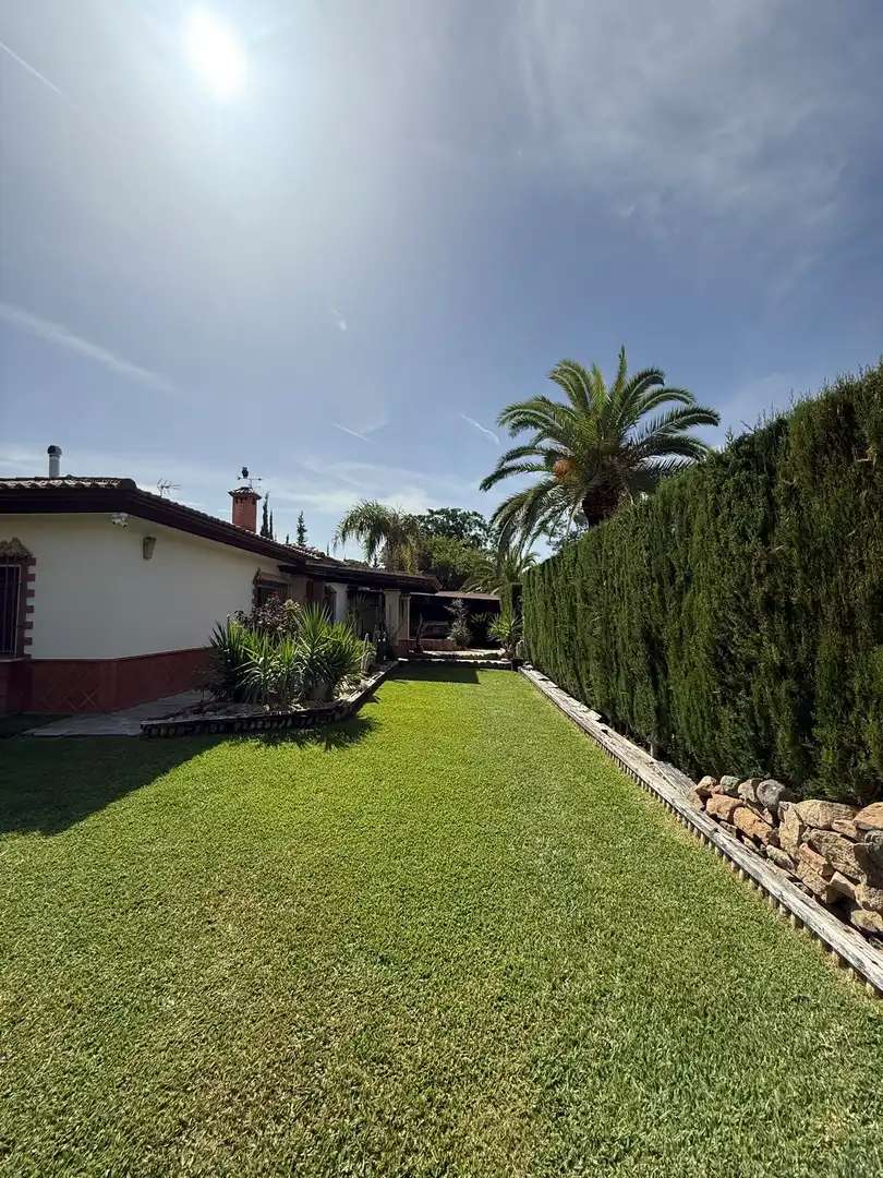 Chalet en  Calle del Pino Sol 169 - Foto 6