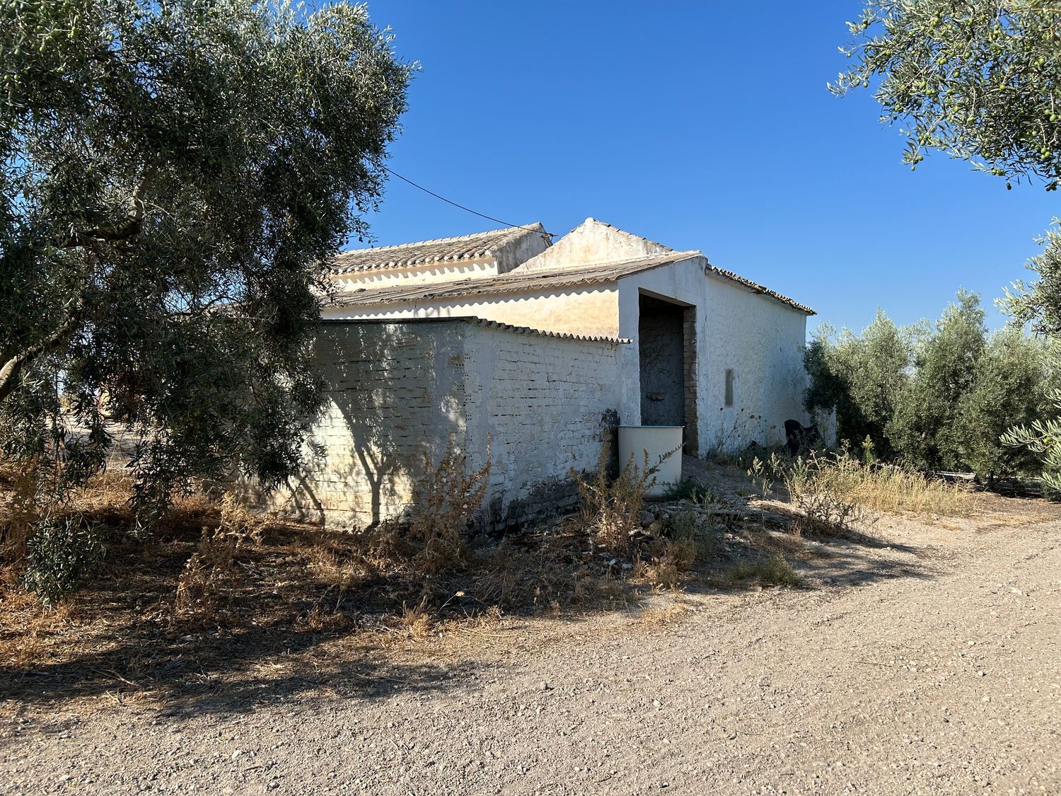 Cortijo en Cortijo en Diseminado Albaicin, 63 - Foto 2
