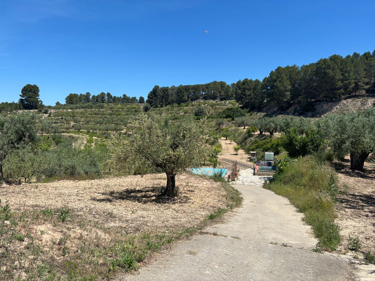 Masía en Masía en Camino Alqueries de Benifloret, 320 - Foto 10