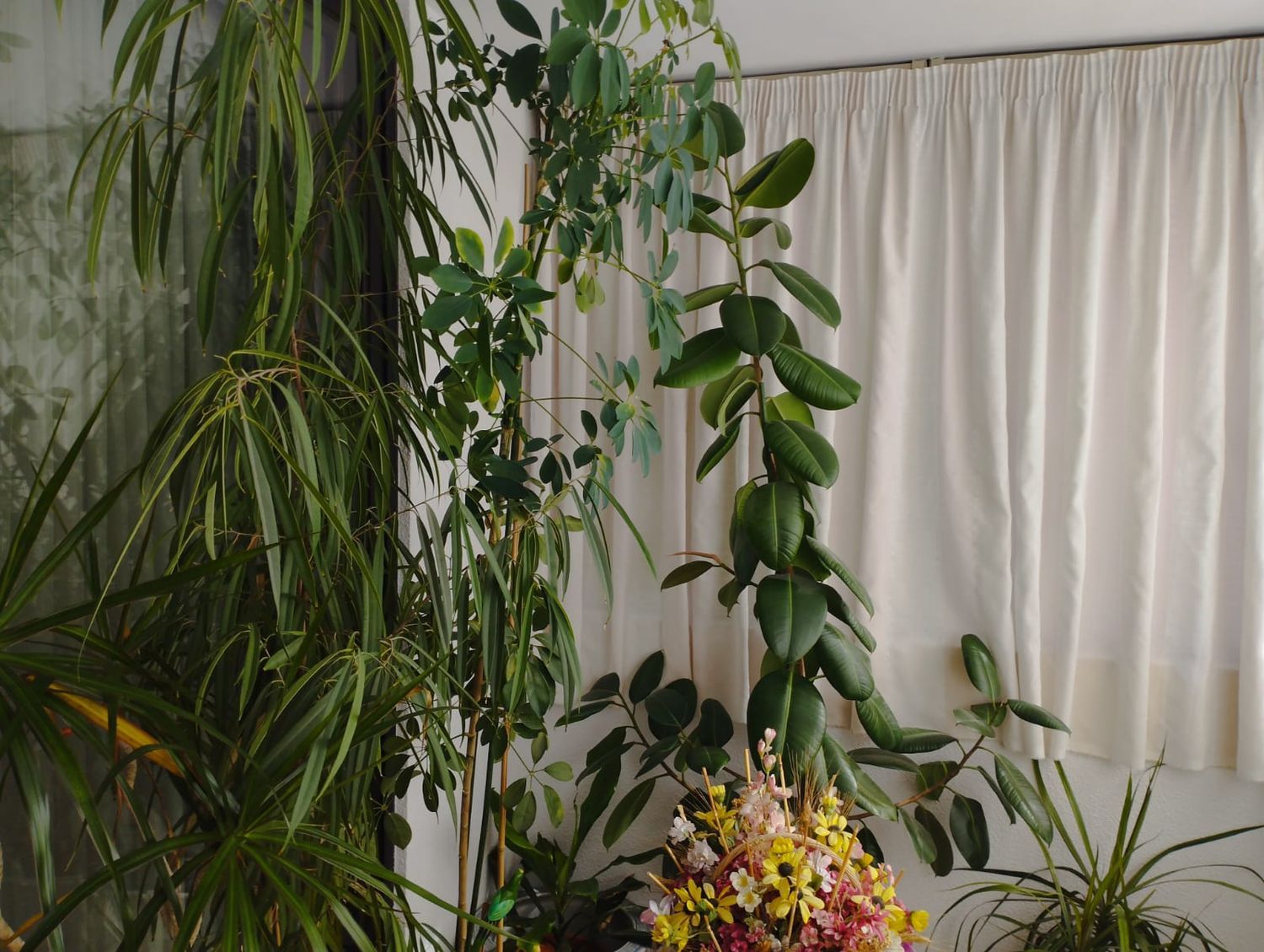 Piso en calle de Santiago de Compostela, 26 - Foto 4