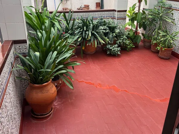 Piso en Avenida Virgen de los Dolores, 7, Vistalegre - Parque Cruz - Universidades - Foto 8