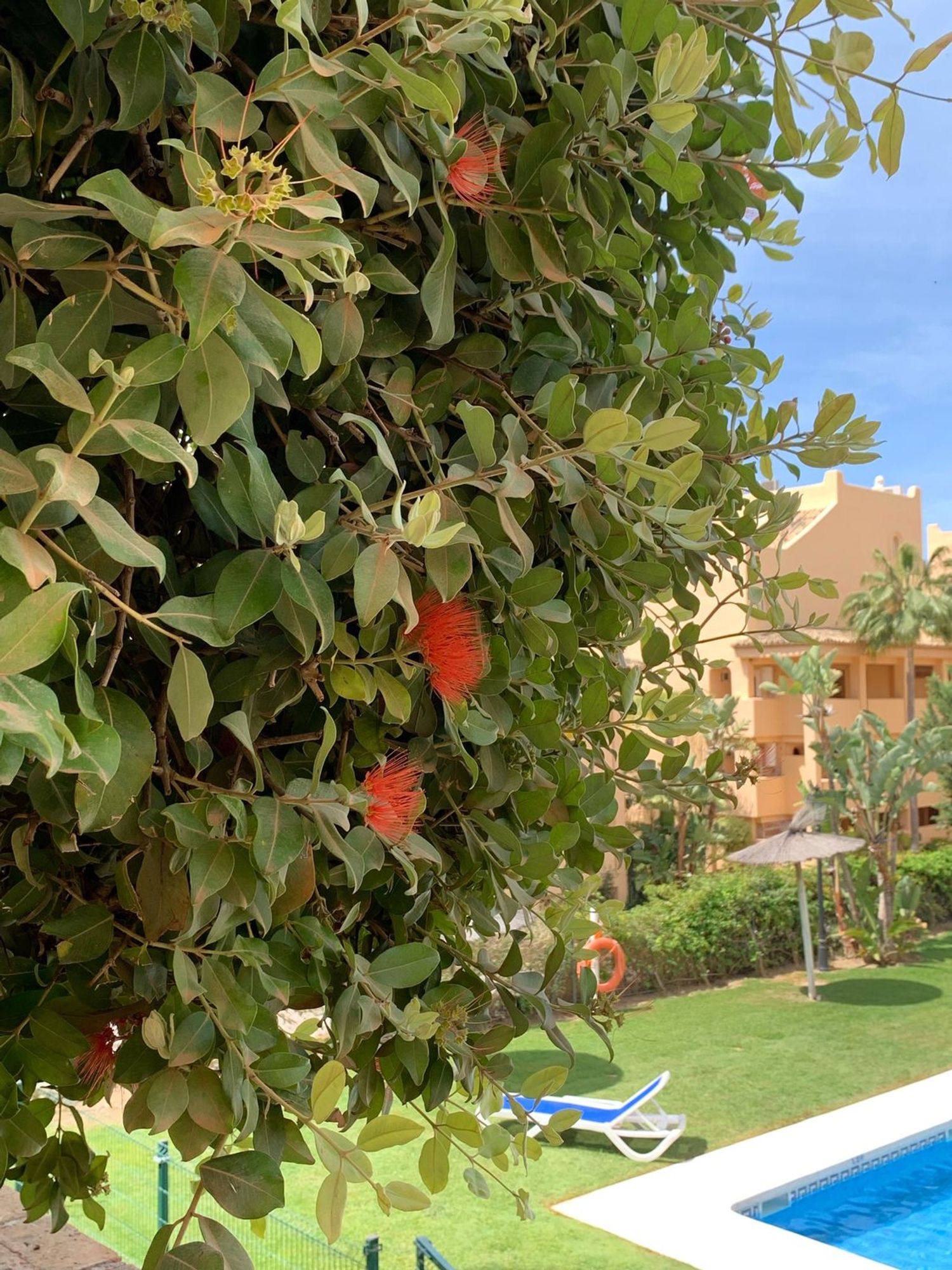 Piso en calle Hiedra, 98 - Foto 24