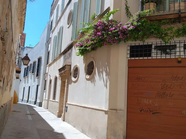Estudio en Calle Cuatro Juanes, 8 Juderia, Centro - Foto 22
