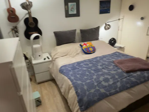 Estudio en Valencia, 250