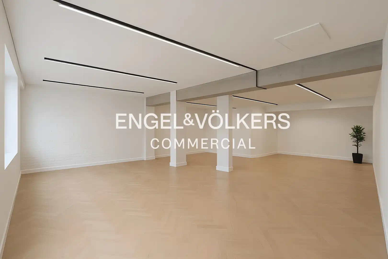 Local comercial en Esplugues de Llobregat - Foto 4
