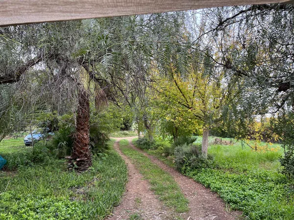 Casa independiente en Diseminado P068, 256 - Foto 6