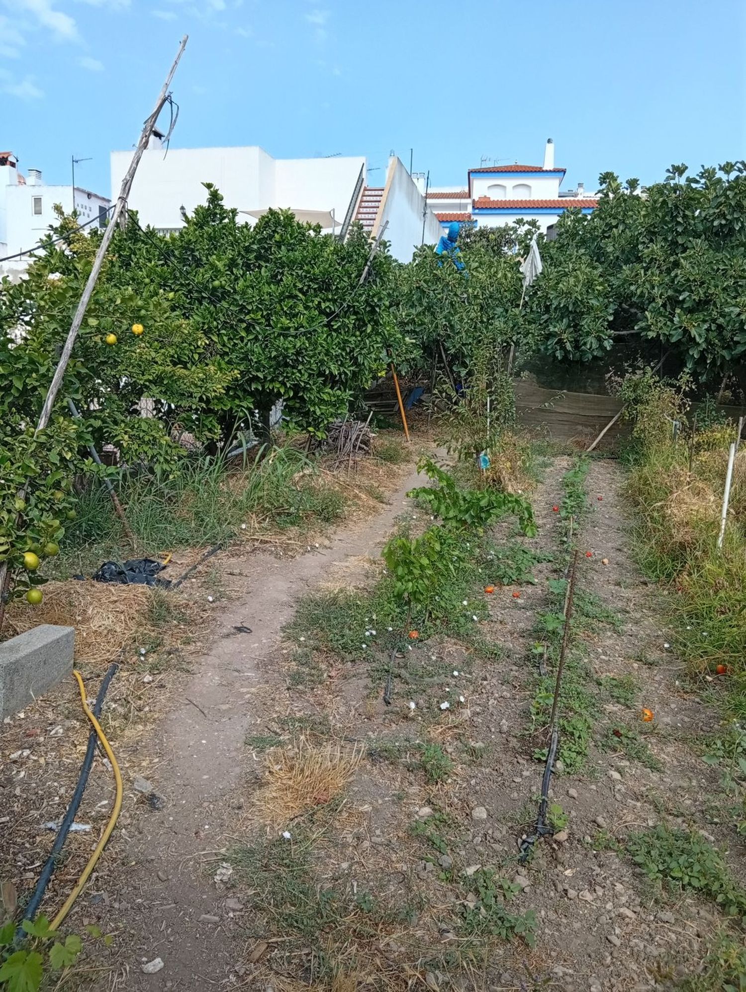 Finca rústica en Calle Galdames, 108, Ayamonte Pueblo, Ayamonte Pueblo - Foto 19