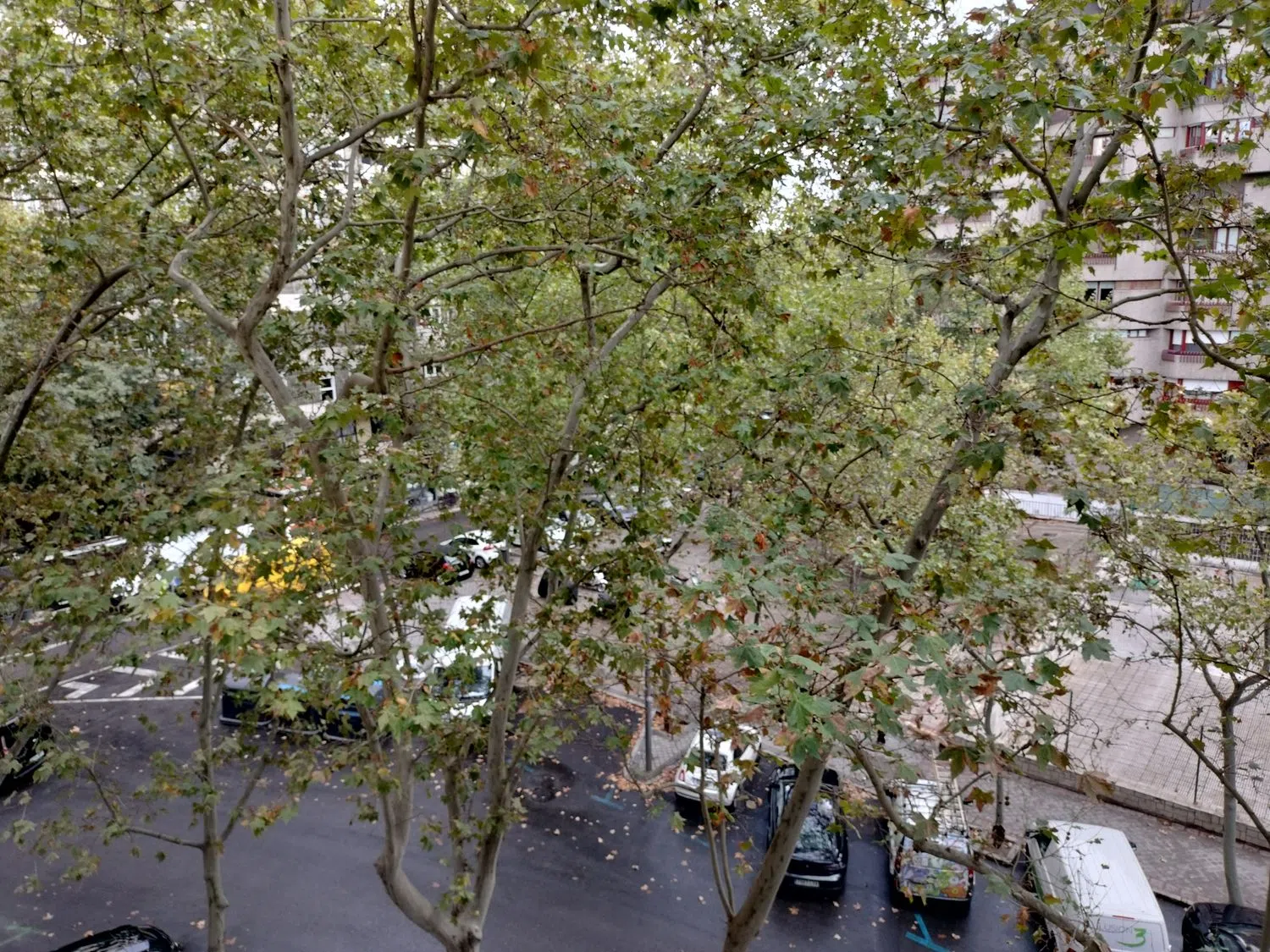 Piso en calle de Juan Hurtado de Mendoza, 13 - Foto 24