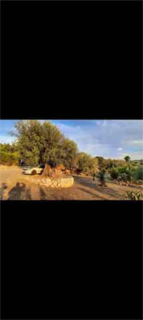 Chalet en La Viñuela - Foto 9