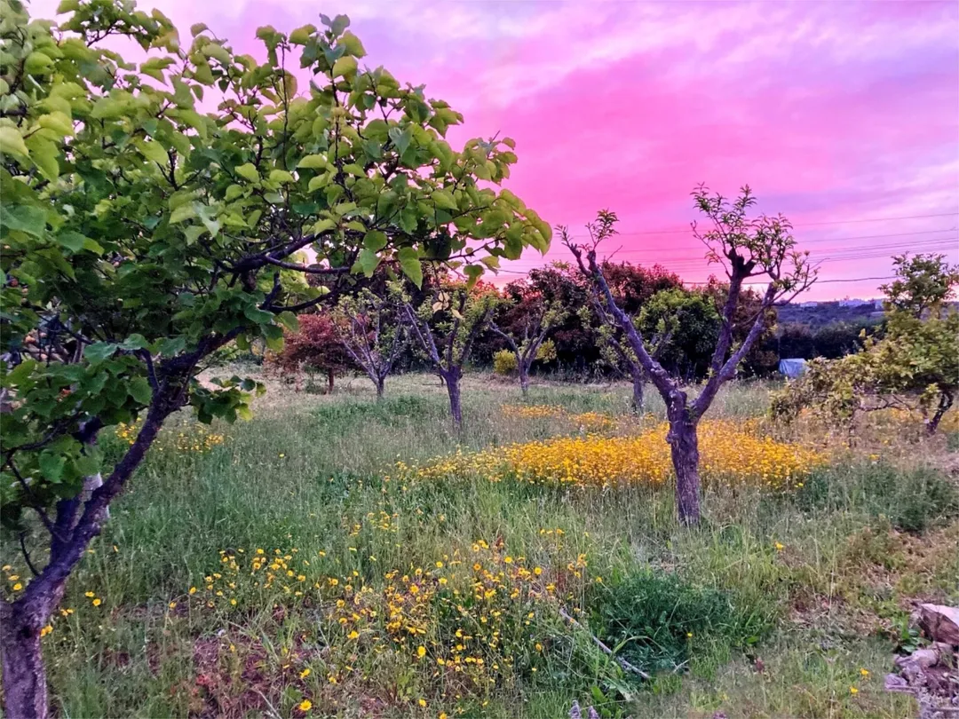 Chalet en  Lugar Pinar de Ojeda 24 - Foto 26