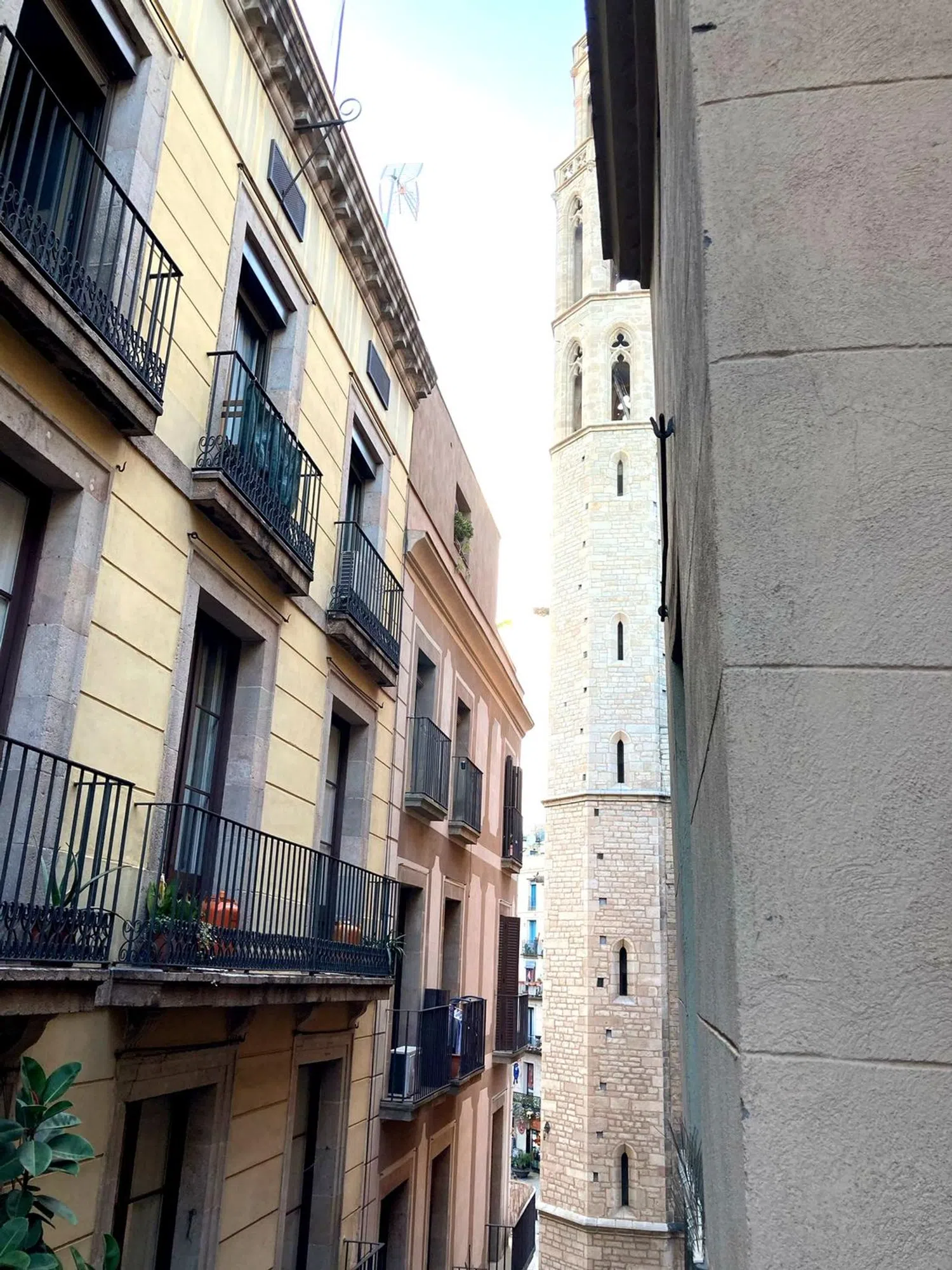 Estudio en Urb. born Barrio Sant Pere - Santa Caterina i la Ribera - Foto 2