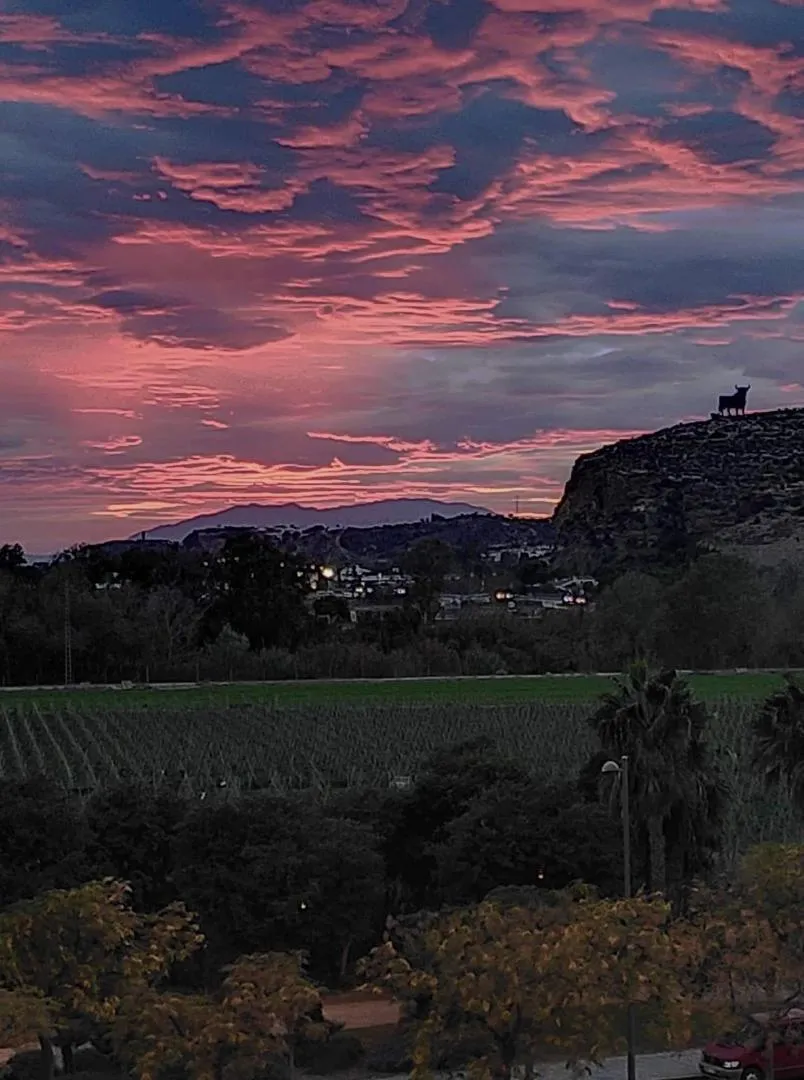 Piso en  Carretera Nacional 340 22 - Foto 18