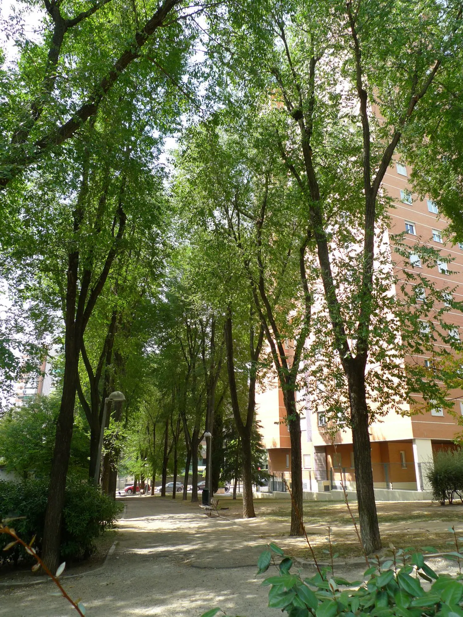 Piso en calle de Hontoria del Pinar, 5 - Foto 13